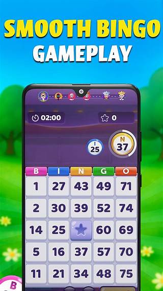 6566bet bingo screenshot